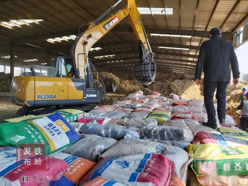 我市集中銷毀8萬斤假劣種子，強化農作物種子市場監管